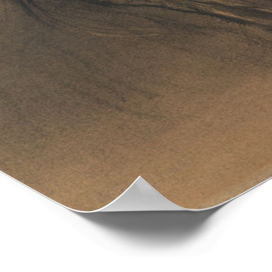 Poster Pegasus et Bellerophon (Coin)