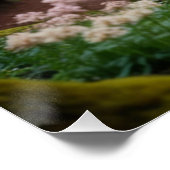 Poster Pegasus Filly sur Forest Walk (Coin)