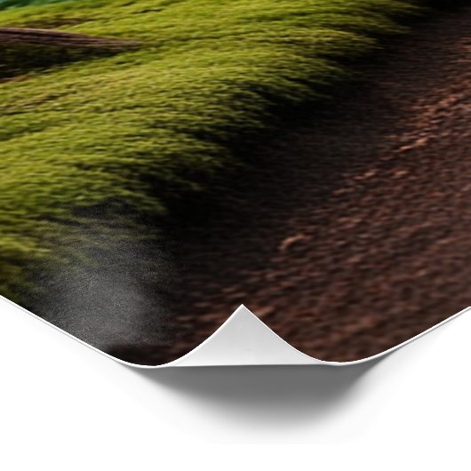 Poster Pegasus Filly sur Forest Walk (Coin)