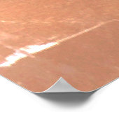 Poster Pegasus Gilded bronze statue skulptur Paris Pont (Coin)