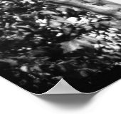 Poster Pegasus in Black and White Grunge (Coin)