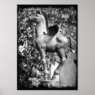 Poster Pegasus in Black and White Grunge