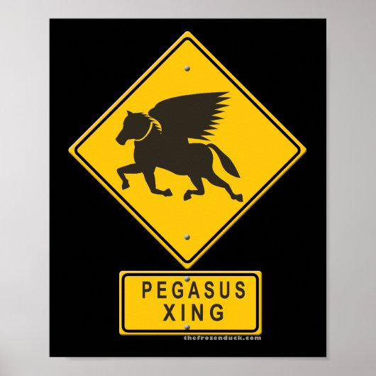 Poster Pegasus XING (Devant)