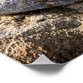 Poster Peggy's Cove Freedom (Coin)