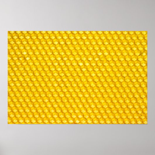 Poster Peigne (Devant)