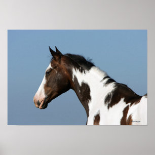 Poster Peignez le Headshot 1 de cheval