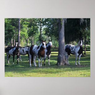 Poster Peignez les chevaux dans les arbres