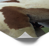 Poster Peindre Foals Jouer (Coin)