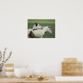 Poster Peindre Foals Jouer (Cuisine)