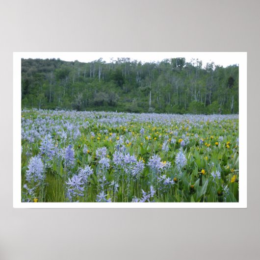Poster Peindre le champ (Devant)