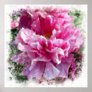 Poster *~* Peine rose Peony Peinture Artsy Artistique AR1