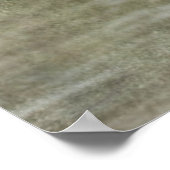 Poster *~* Peine rose Peony Peinture Still Life Art AR23  (Coin)