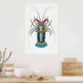 Poster peint de homard épineux (Cuisine)