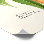 Poster Peinture à base de fruits à la broche (Prunus Pers (Coin)