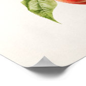 Poster Peinture à base de fruits (Prunus Persica) (Coin)