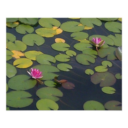 Poster Peinture à la fleur d'eau (Devant)