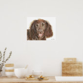 Poster Peinture à l'aquarelle Cocker Spaniel de travail (Cuisine)