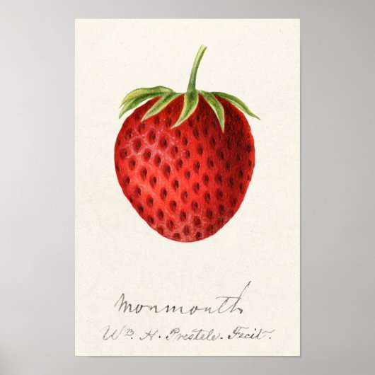 Poster Peinture à l'aquarelle de fraise (Fragaria) (Devant)