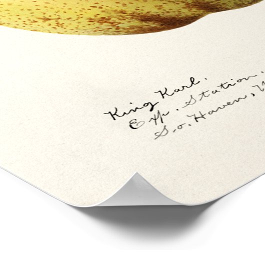 Poster Peinture à l'aquarelle de fruits (Pyrus Communis) (Coin)