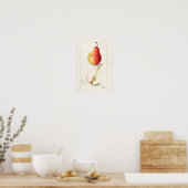 Poster Peinture à l'aquarelle de fruits (Pyrus Communis) (Cuisine)