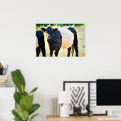 Poster Peinture à l'aquarelle de la vache Beltie Galloway (Bureau à domicile)