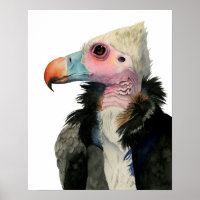 Peinture à l'aquarelle de vautour