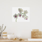Poster Peinture à l'aquarelle des orchidées (Cuisine)
