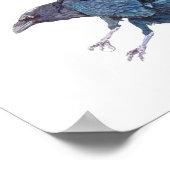 Poster Peinture à l'aquarelle du corbeau (Coin)