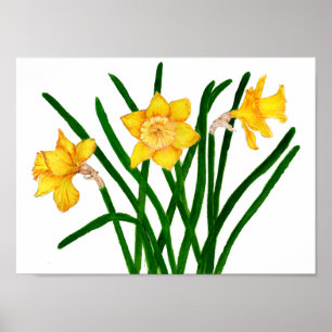 Poster Peinture à l'aquarelle florale jaune