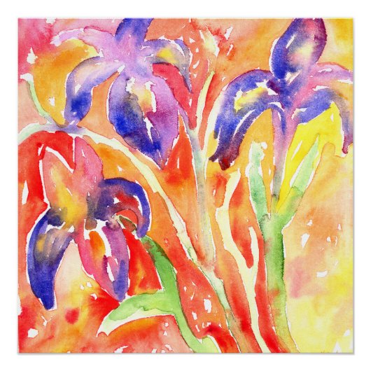 Poster Peinture à l'aquarelle Iris (Devant)