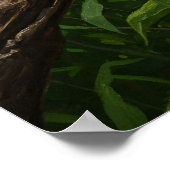 Poster Peinture à l'huile de Macaw (Coin)