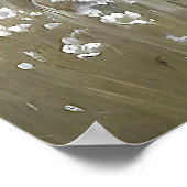 Poster Peinture à l'huile de prairie fleur sauvage blanc (Coin)