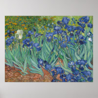 Peinture à l'huile florale Les Iris bleus célèbres