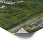 Poster Peinture à l'huile photo Arbre par marais (Coin)