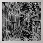 Poster Peinture Abstraite D'Une Cobweb Blanc Gris Sur Noi (Devant)