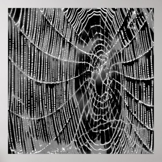 Poster Peinture Abstraite D'Une Cobweb Blanc Gris Sur Noi (Devant)