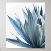 Poster Peinture Acrylique Agave Bleue (Devant)