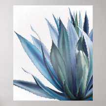 Peinture Acrylique Agave Bleue