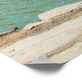 Poster Peinture américaine (Coin)