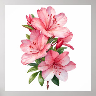 Poster peinture aquarelle de fleur d'azalée
