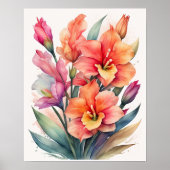 Poster Peinture aquarelle de Gladiolas (Devant)