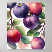 Poster Peinture aquarelle des prunes (Devant)