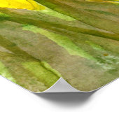 Poster Peinture aquarelle, Fleurs Jaunes, Daffodiles (Coin)