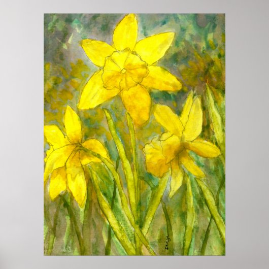 Poster Peinture aquarelle, Fleurs Jaunes, Daffodiles (Devant)