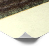 Poster Peinture Armadillo vintage (1909) (Coin)