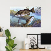 Poster Peinture basse de Smallmouth (Bureau à domicile)