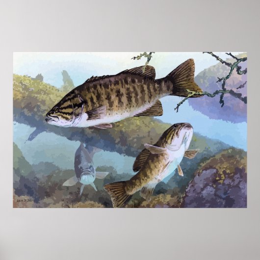 Poster Peinture basse de Smallmouth (Devant)