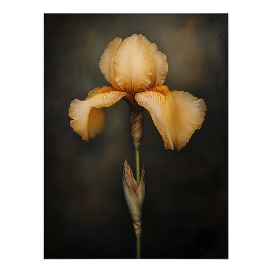 Poster Peinture botanique en Iris Jaune (Devant)