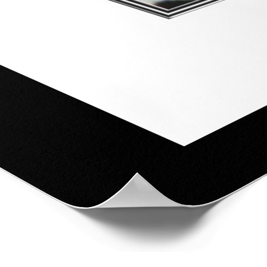 Poster Peinture chinoise ancienne, orchidées (Coin)