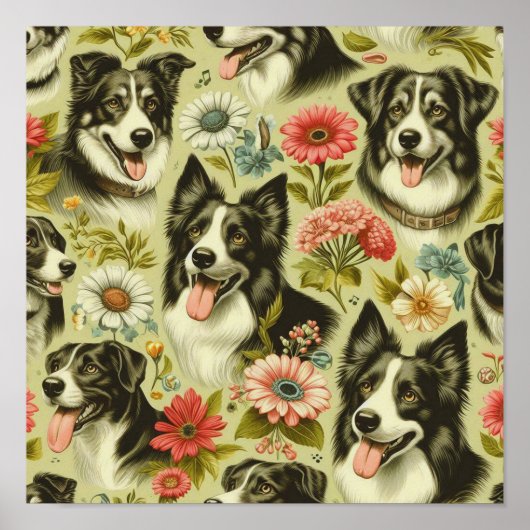 Poster Peinture Collie vintage (Devant)